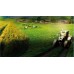 The World of Farming Europe and America (PS4), ,